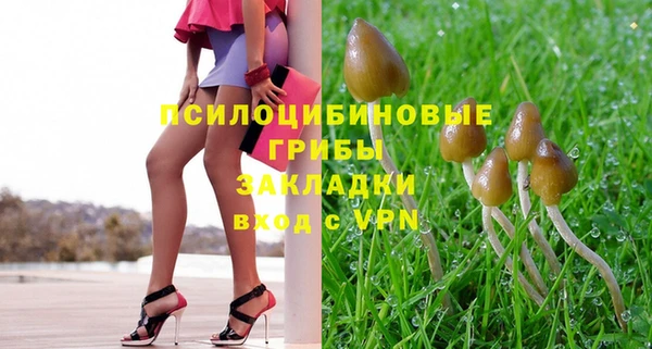 мет Белокуриха