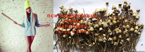 мяу мяу мука Беломорск