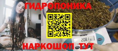 СК Балахна