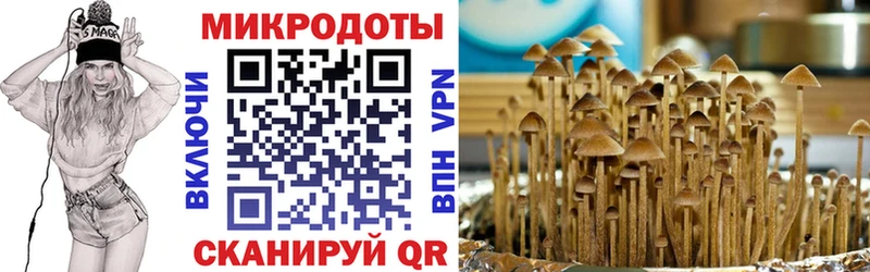 Псилоцибиновые грибы Psilocybe  МЕГА tor  Вятские Поляны 