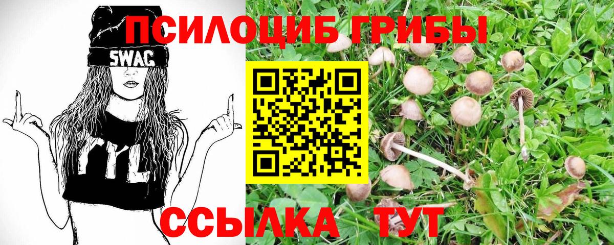 Псилоцибиновые грибы мицелий  Вход с VPN  Вятские Поляны  Галлюциногенные грибы GOLDEN TEACHER 