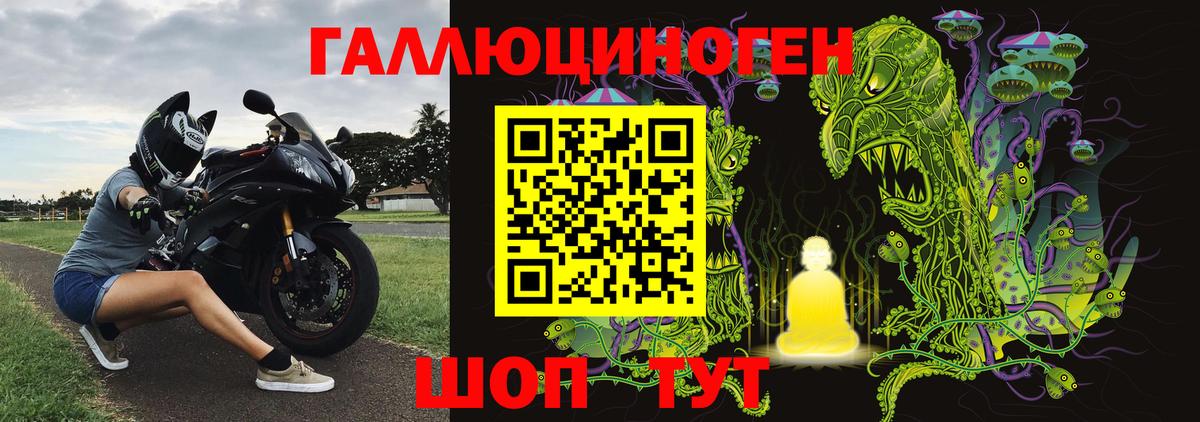 Псилоцибиновые грибы мицелий Вятские Поляны