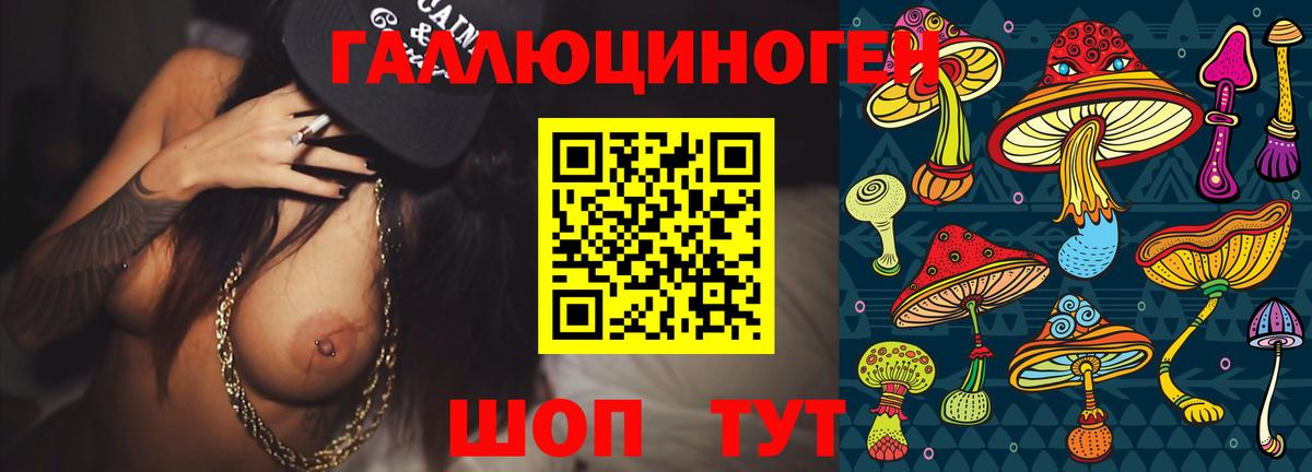 сколько стоит  Вятские Поляны  Галлюциногенные грибы GOLDEN TEACHER 